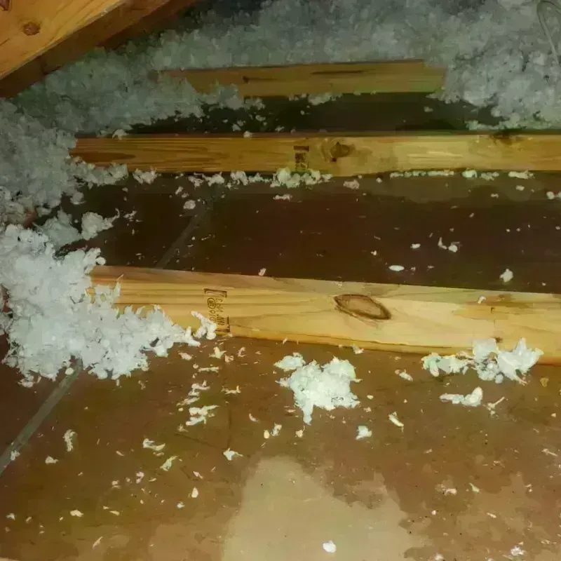 Attic Water Damage in Manchester, OH