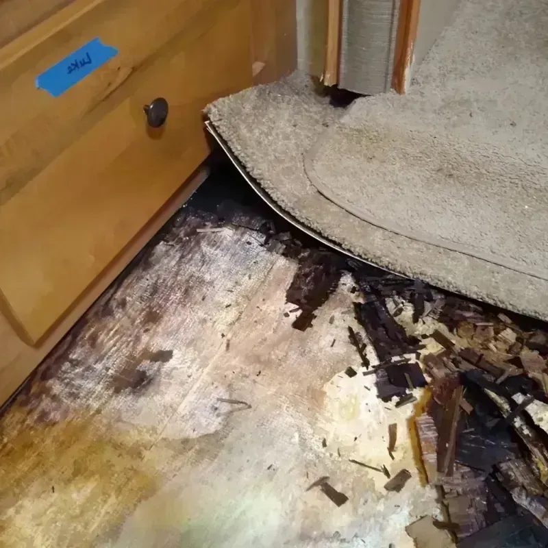 Wood Floor Water Damage in Manchester, OH